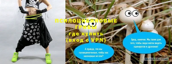 марки nbome Гусев